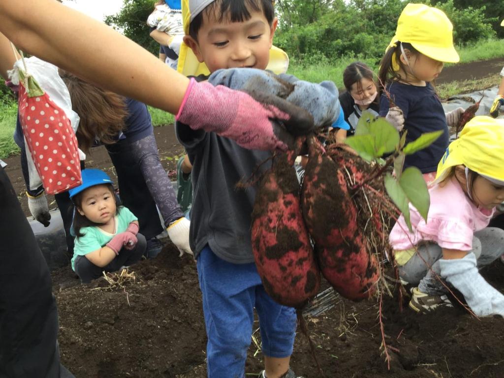千葉県自然環境保育認証制度(はくすい保育園4)
