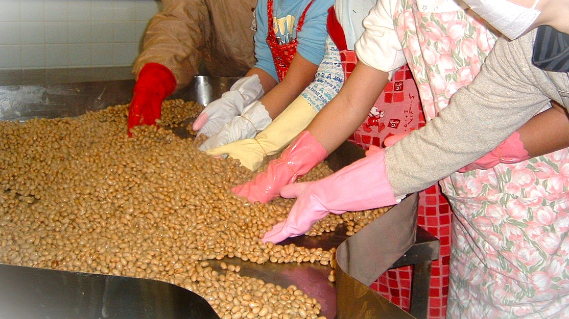 味噌づくり。たくさんの大豆をこれから加工します。
