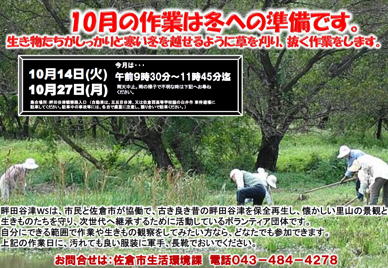 生きもの田んぼの畦刈りのようす