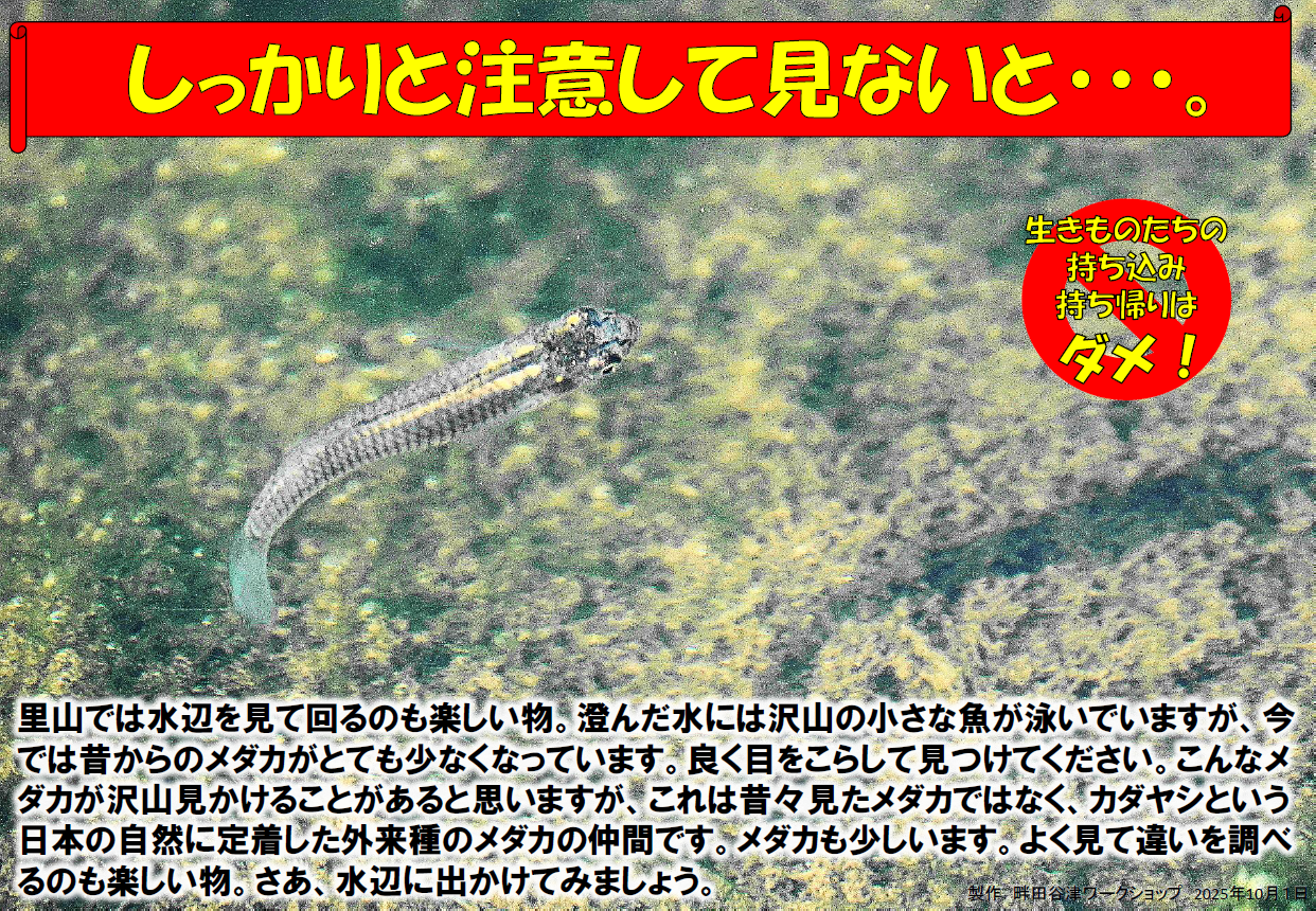 畔歩きは、今しばらくの辛抱を