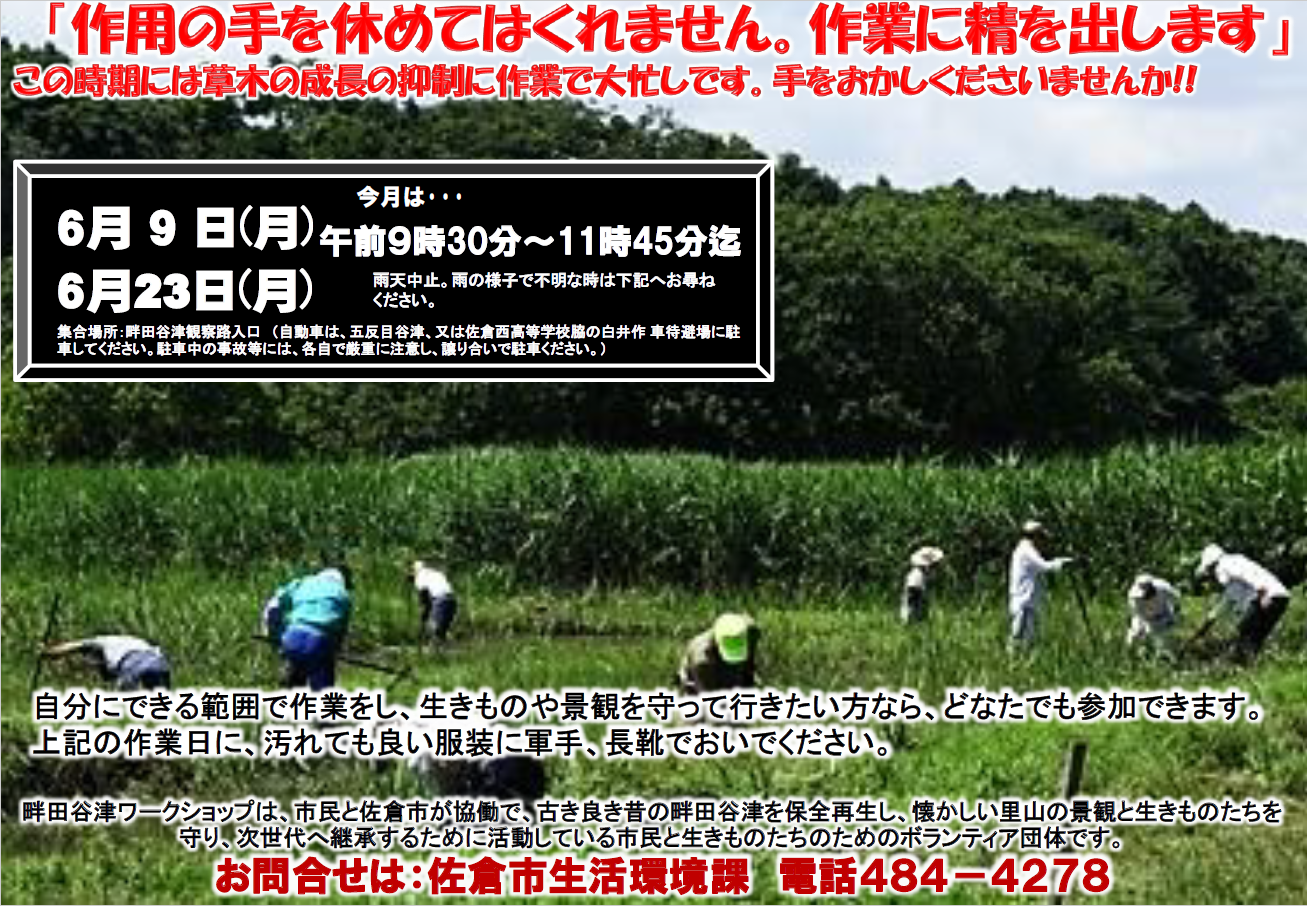 生きもの田んぼの畦刈りのようす