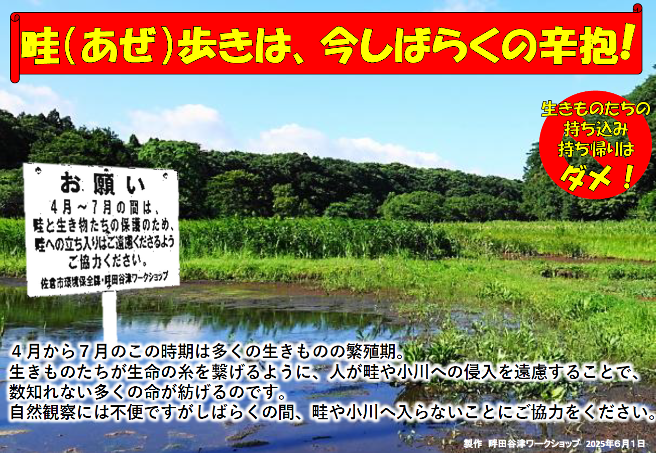 畔歩きは、今しばらくの辛抱を