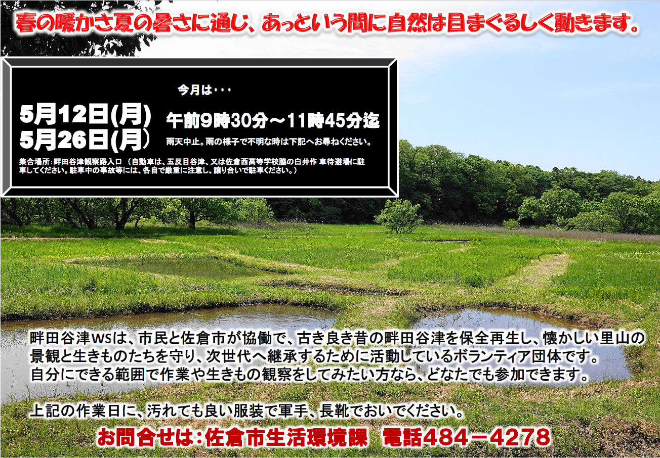 生きもの田んぼの畦刈りのようす