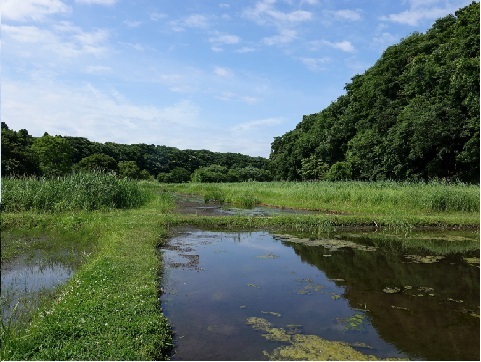 青い空と周りに山がある中に水の張った田んぼが写っている写真