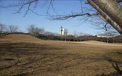 広大な芝生広場の奥に、なだらかな山がある池の台公園の写真