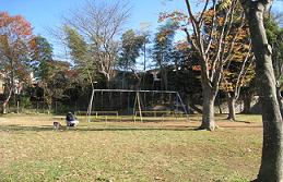 樹木に囲まれた広場の奥にあるブランコの写真
