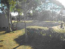 樹木の隙間から太陽の光が射しこんでいる萱橋公園の広場の写真