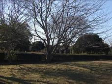生垣や樹木が植えらえている池の台公園の写真