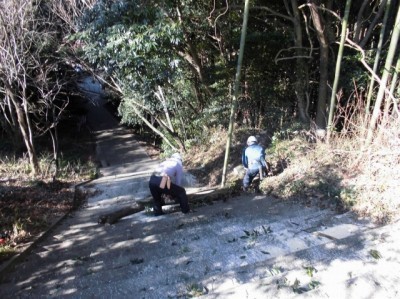 2名の作業者が急こう配の林を整備している様子の写真