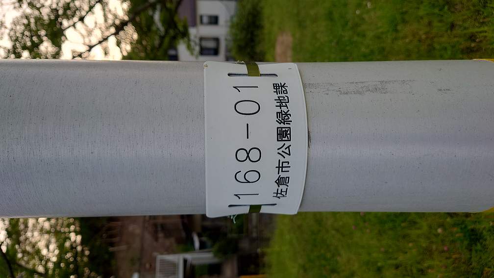 LED照明近景