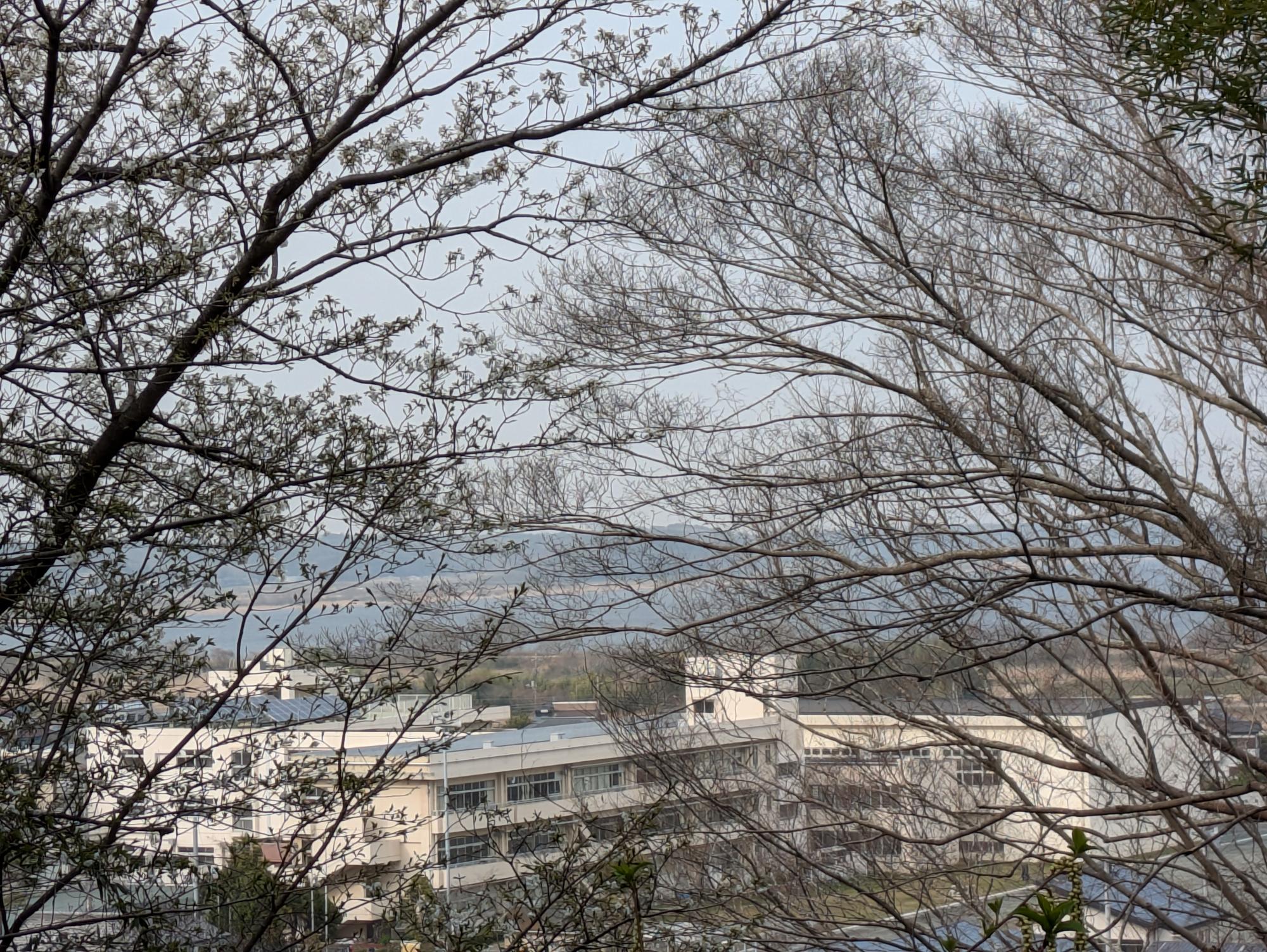 印旛沼眺望(宿内公園)
