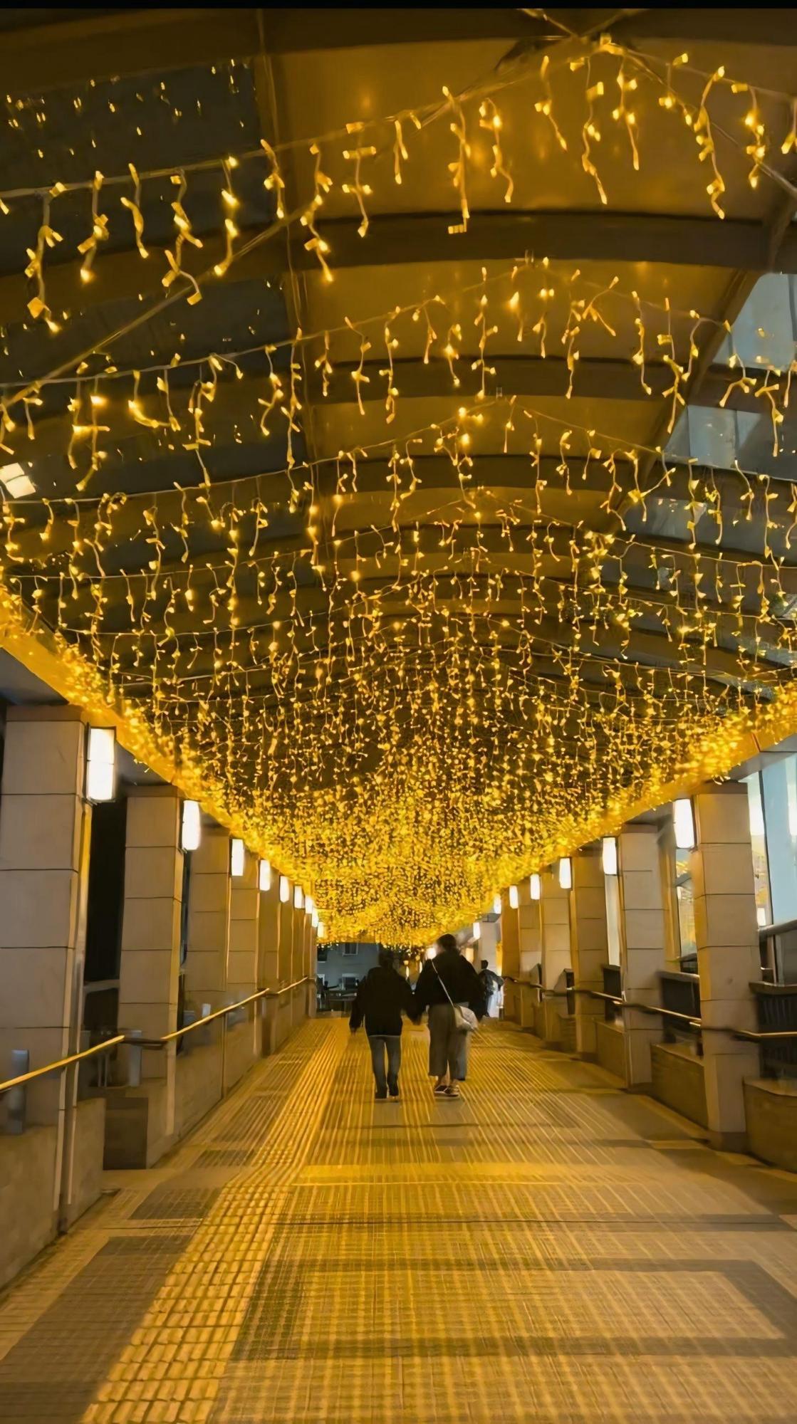私の光