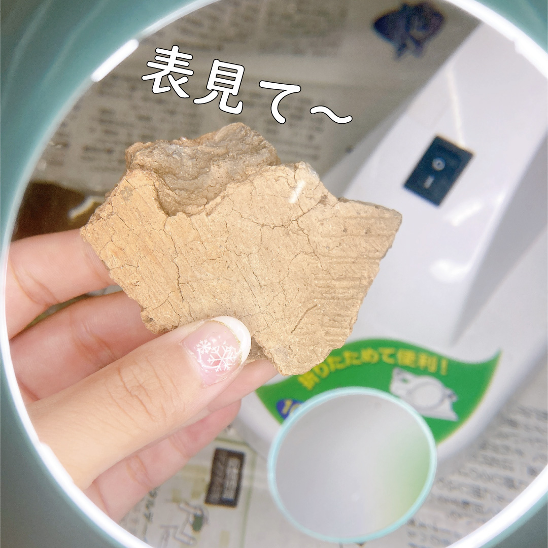土器を観察!表を見て~