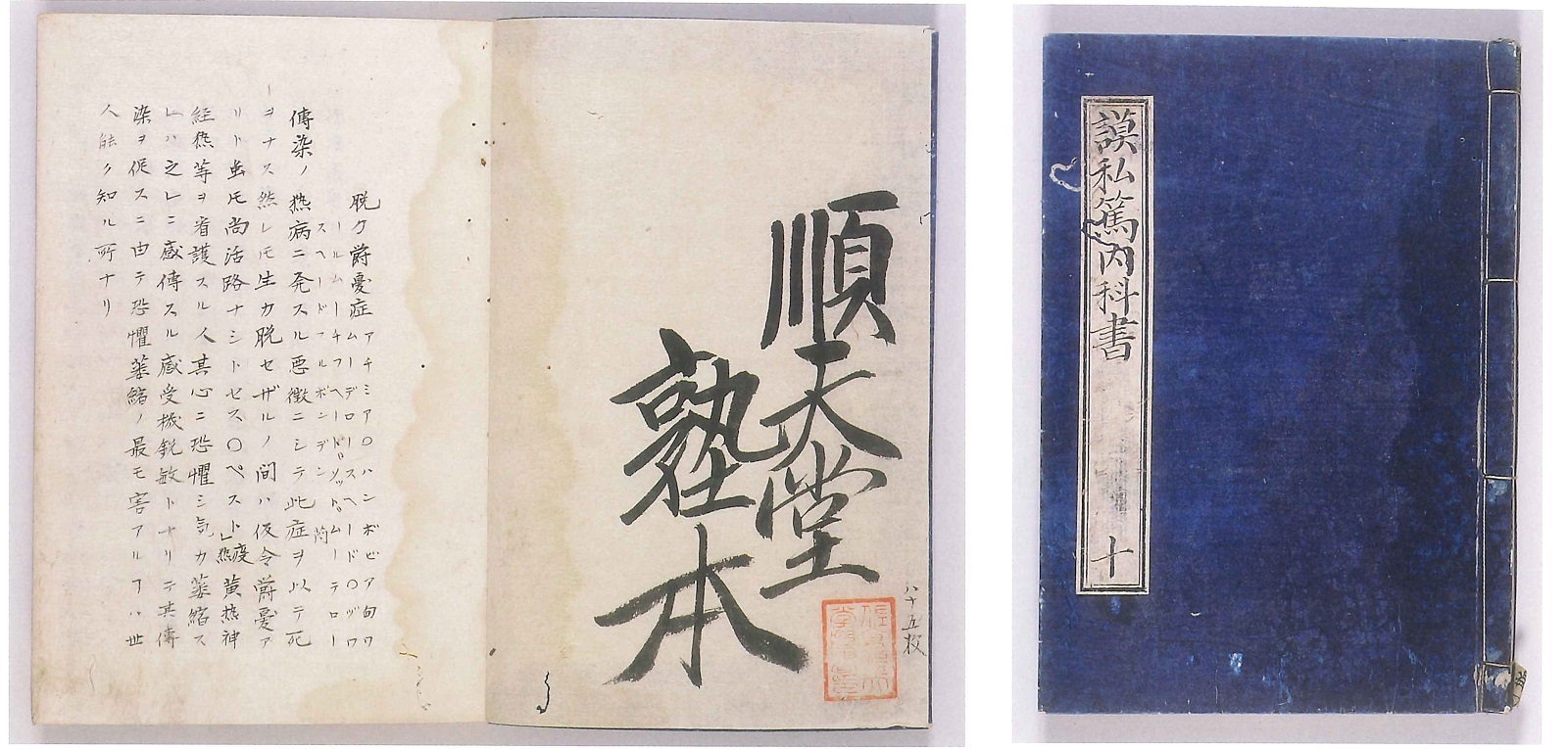 モスト内科書の見返し部分の写真