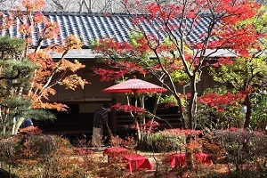 紅葉が鮮やかなお茶会の会場三逕亭の写真