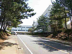 両脇に木々がある片側1車線の道路の先にある佐倉東小学校正門の写真