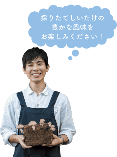 採りたてしいたけの豊かな風味をお楽しみください!
