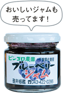 おいしいジャムも売ってます!