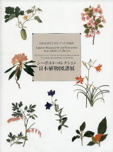 シーボルト・コレクション　日本植物図譜展