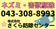 ネズミ・害獣駆除 電話 043-308-8993 株式会社さくら防除センタ－(1)
