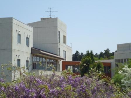 紫の花と西志津中学校の校舎の写真