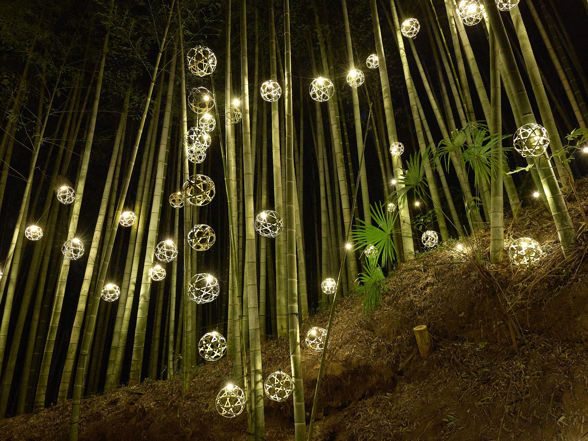 ひよどり坂でのライトアップ