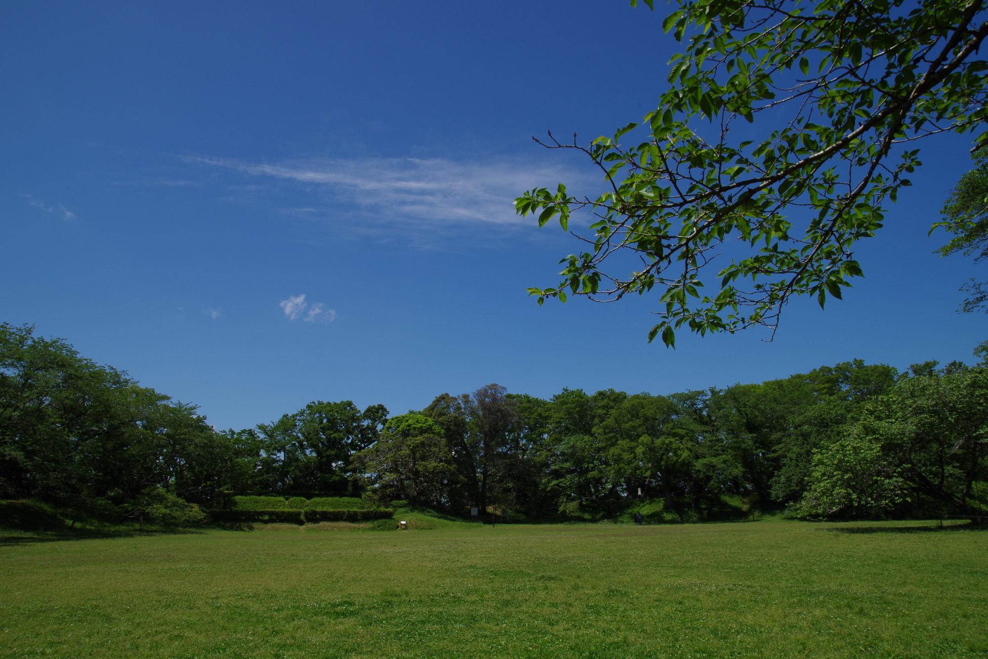 佐倉城址公園