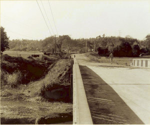 鹿島橋の左側の欄干をまっすぐ一直線に写し奥に松並木が見える風景の白黒写真