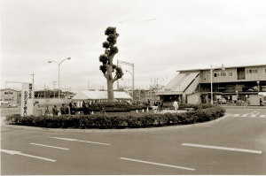 大きな大楠が植えられた駅のロータリーを写した白黒写真