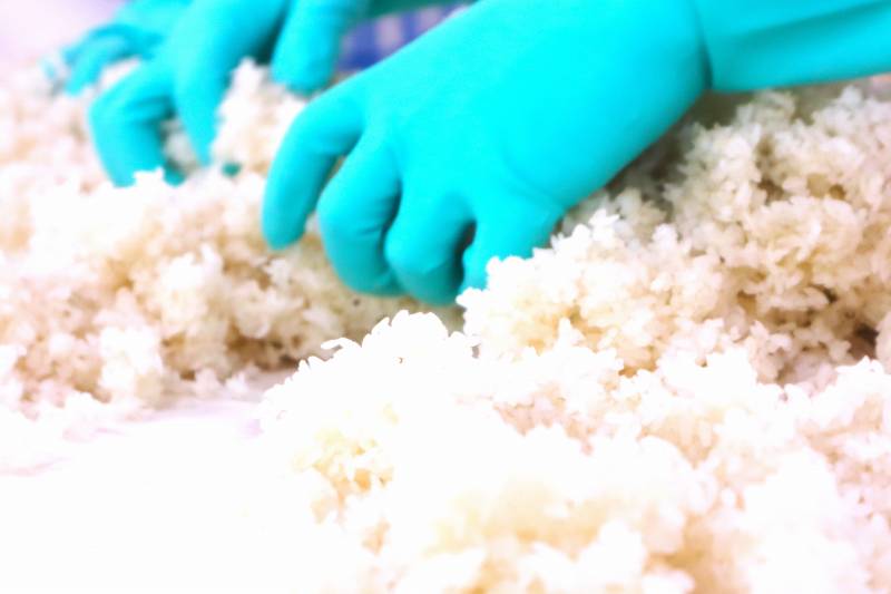 お米をほぐし、麹菌がよくつくように揉みこんでいます。