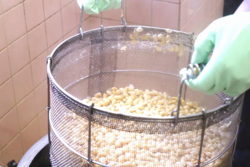 大豆が茹で上がったところです。ザルに大量の大豆が入っています。