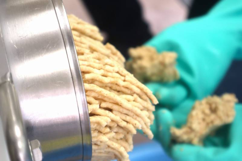 混ぜた材料をミンチ機に入れて出てきたところです。ひき肉のような形をしています。