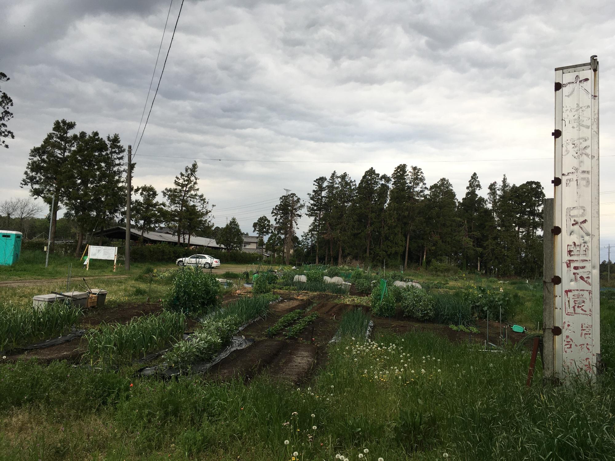 周囲を草木に囲まれた大篠塚市民農園の写真