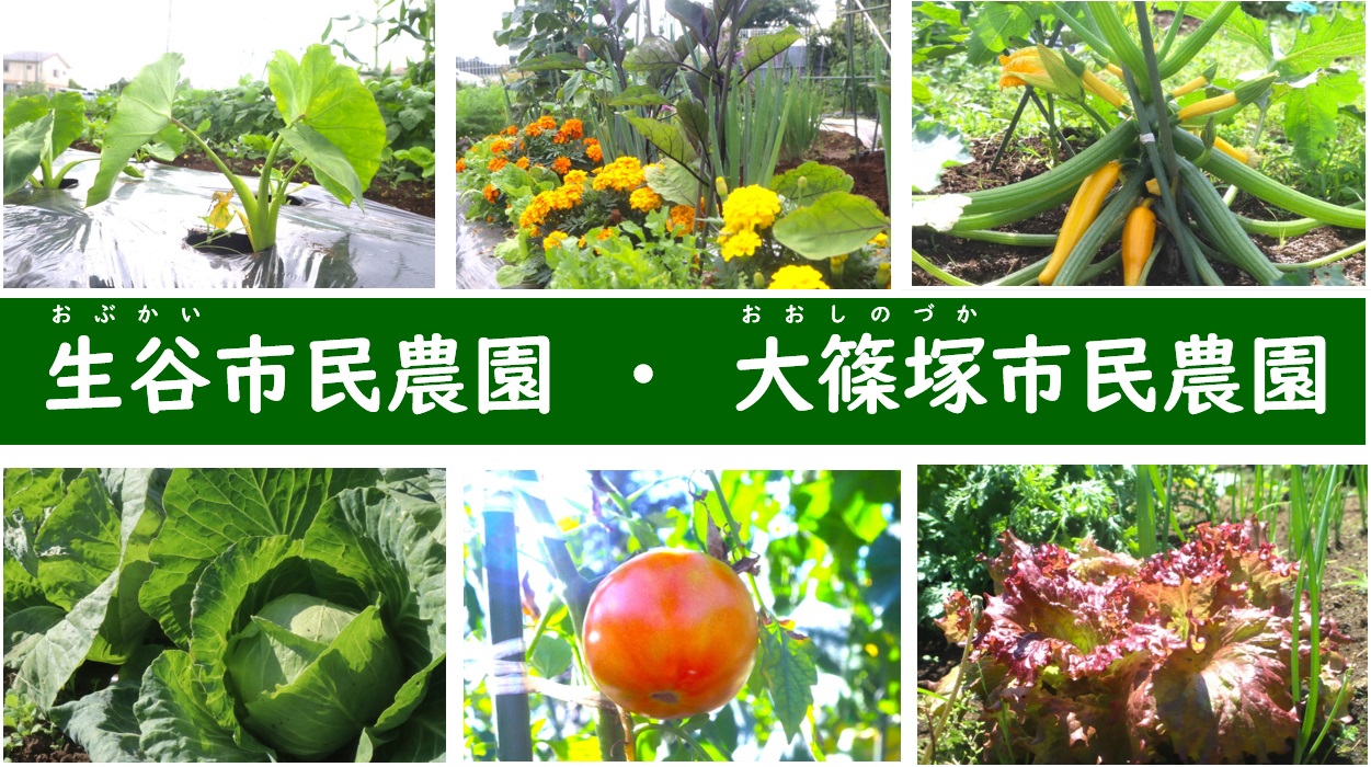 各農園での野菜やお花たち