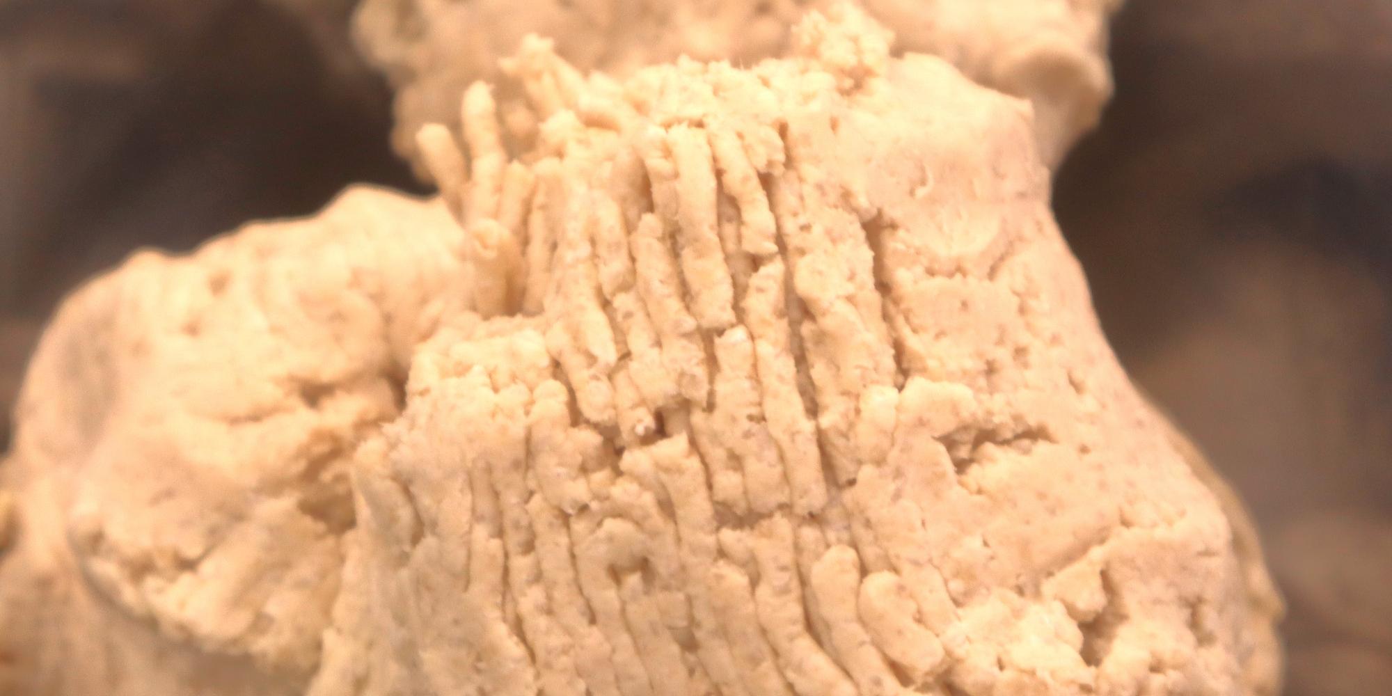 ミンチ機から出てきたばかりの味噌。ミンチ機を通った痕跡が残っています。