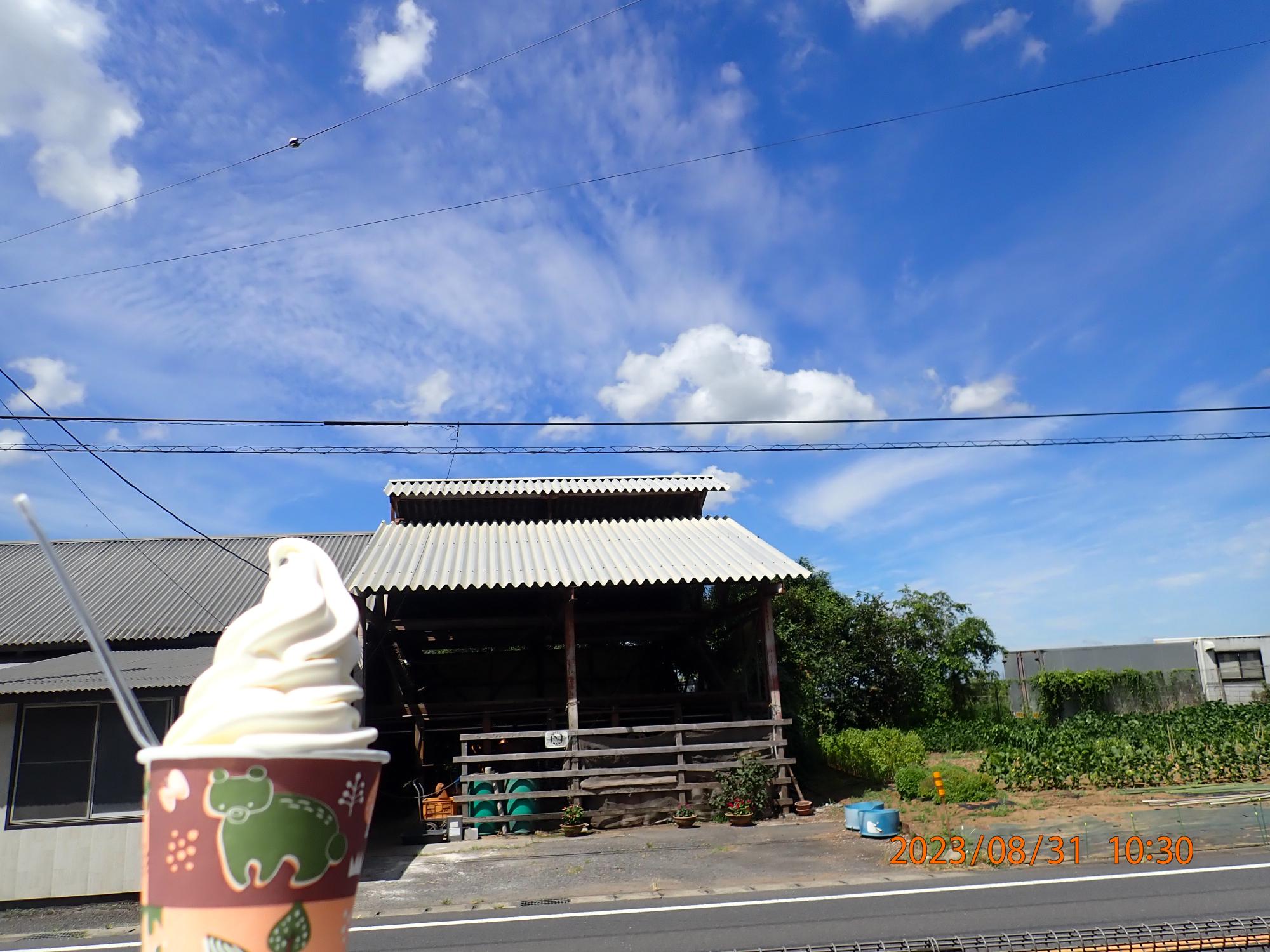 牛舎や田んぼを眺めながらソフトクリーム等がいただけます。