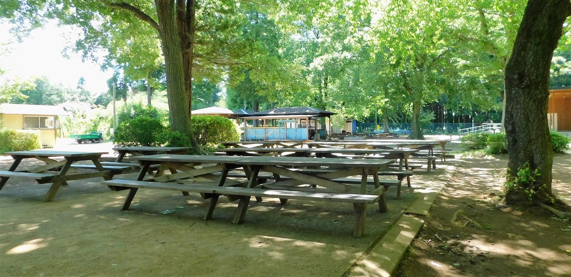 大きな木が植えられ影になっている敷地内に、木製のテーブルと椅子が並んで設置されている写真