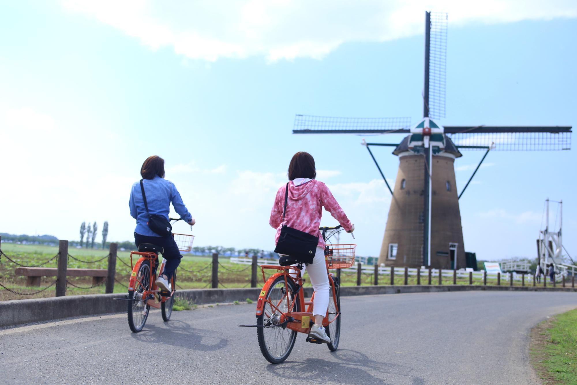 オランダ風車の前の道路をサイクリングしている2名の写真