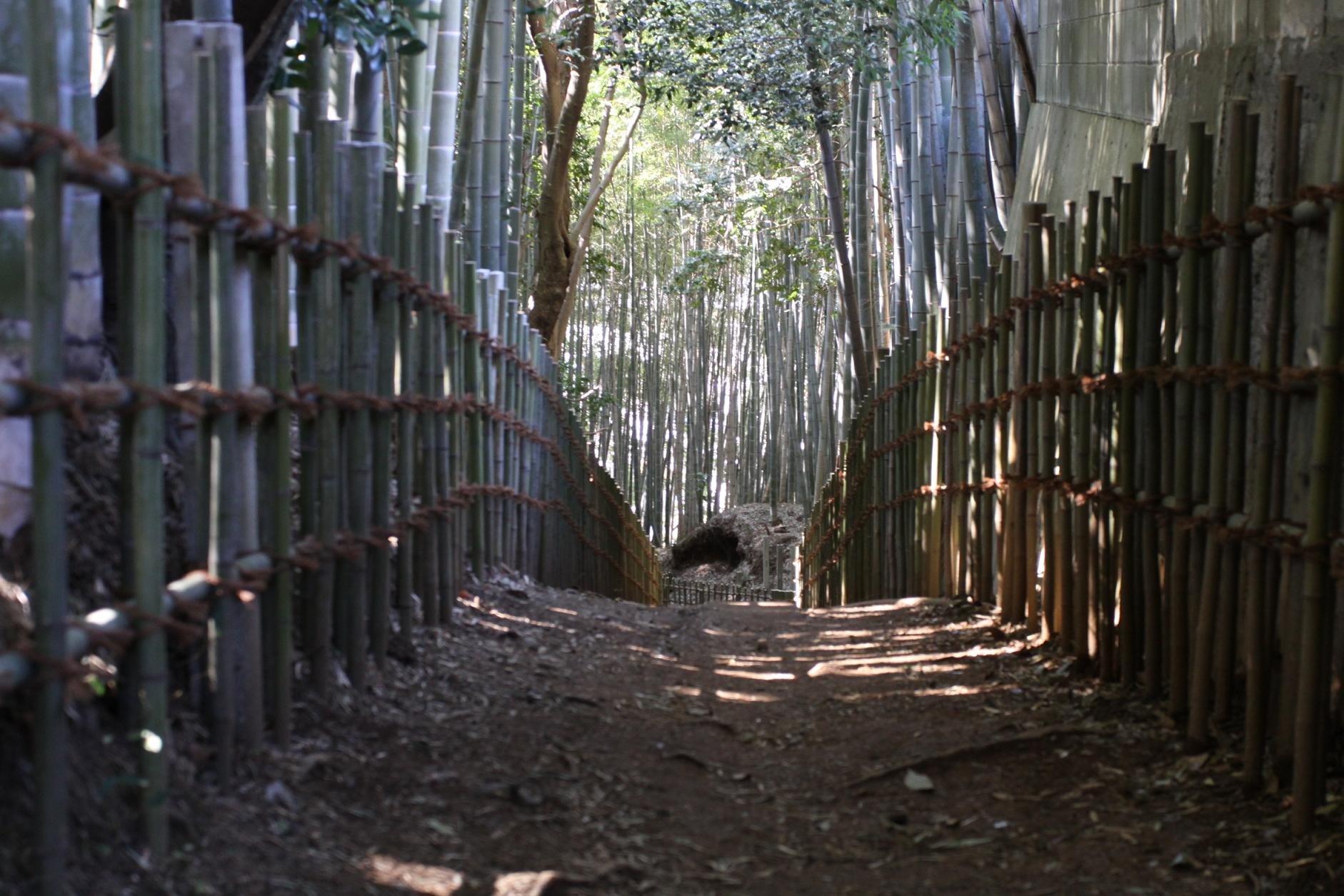 サムライの古径ひよどり坂道の両側に竹で作られた柵が設置されている写真