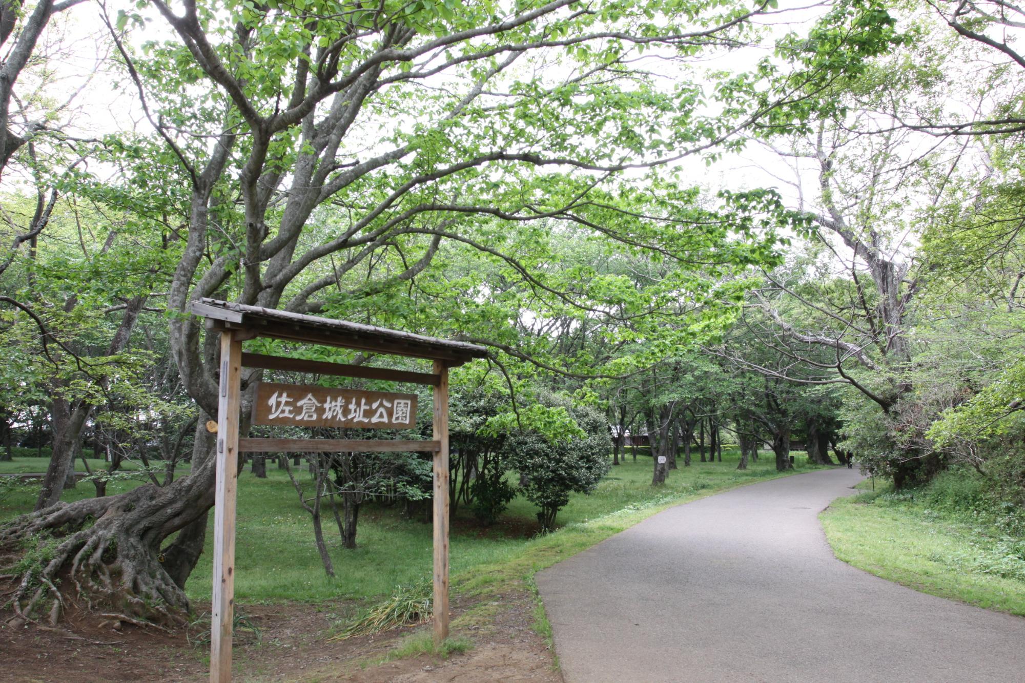 入口に設置された佐倉城址公園とかかれた案内板と公園内の写真