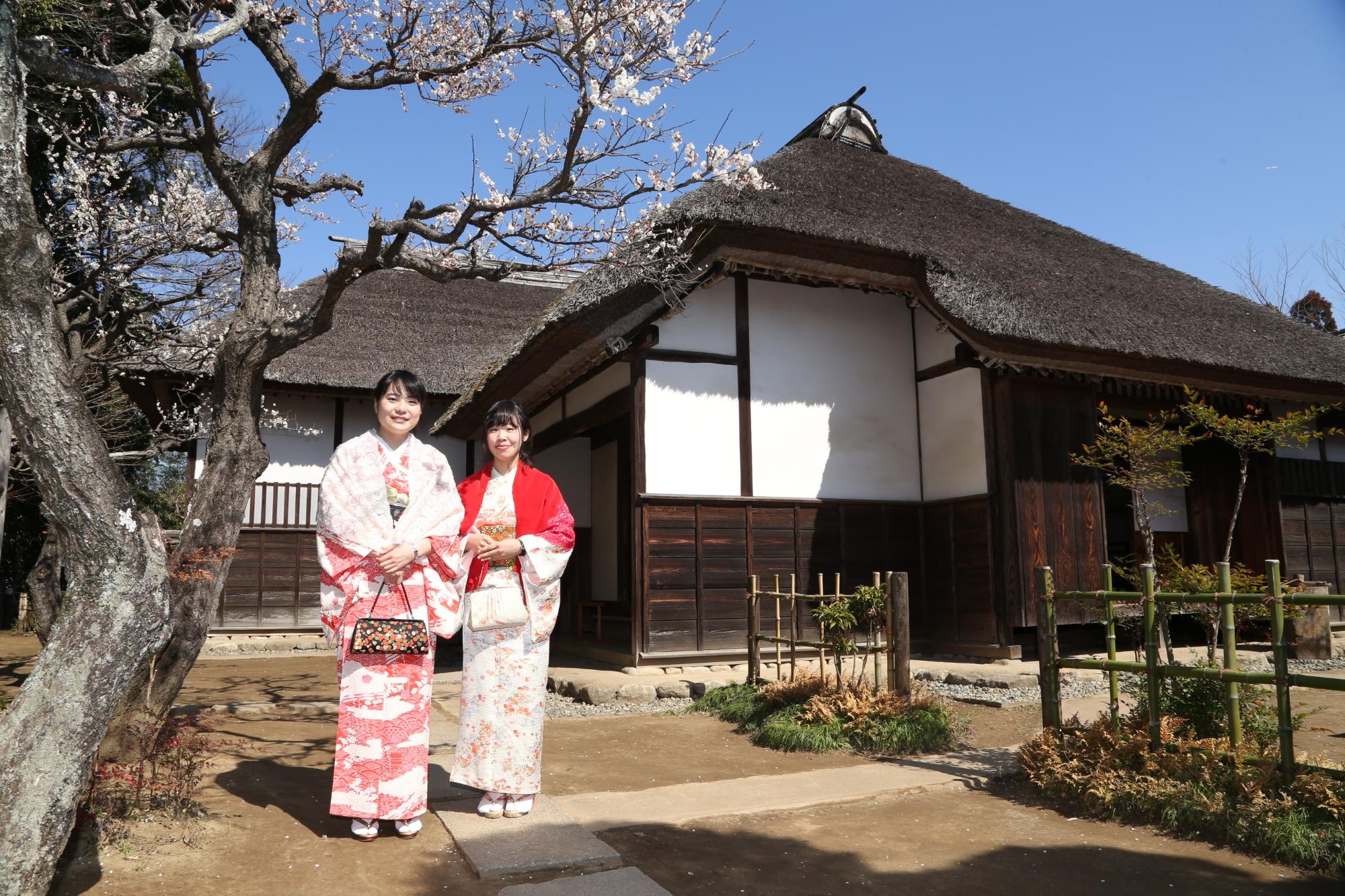 武家屋敷前の桜の木の横で着物を着た女性2名が記念撮影している写真