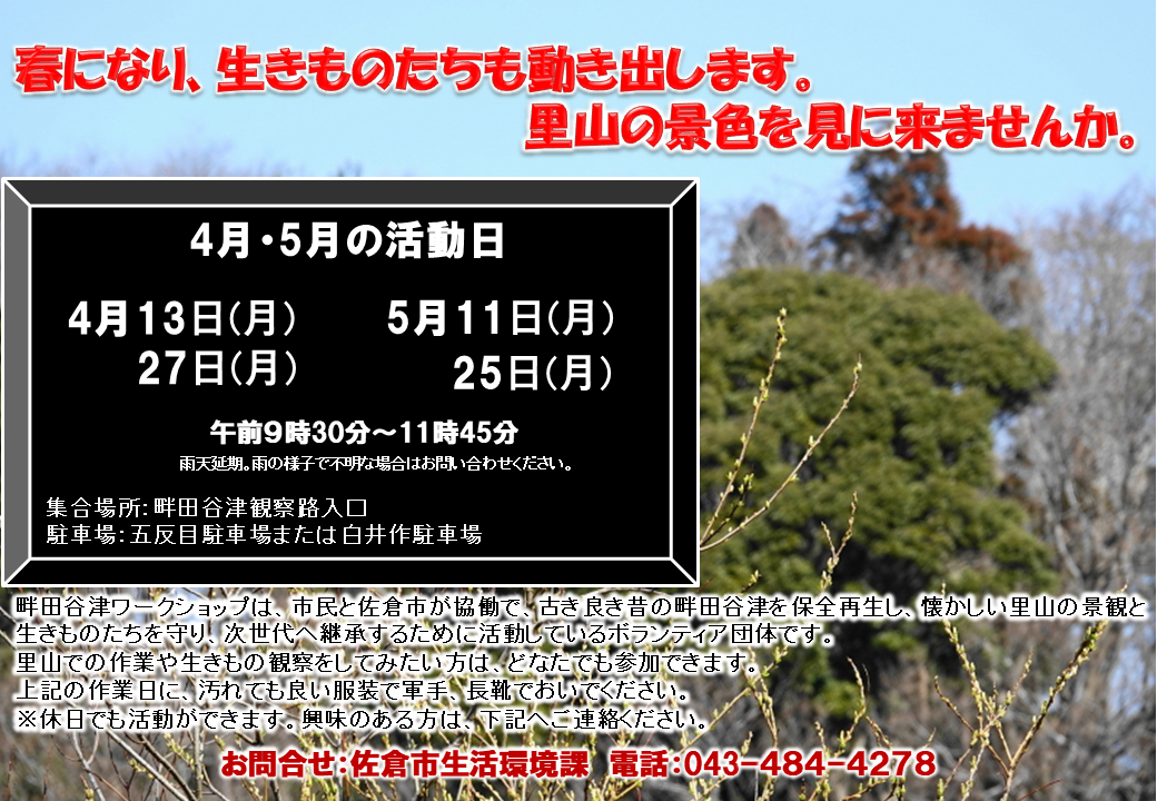 5月の活動予定日(5/11,25)