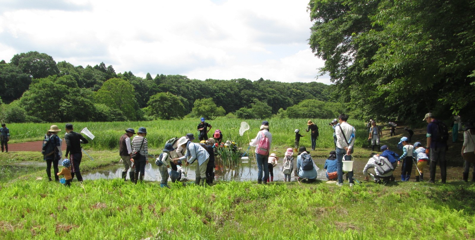 虫取り網などを持った生きもの見っけ隊が水の張った田んぼの周りで虫を探している様子の写真