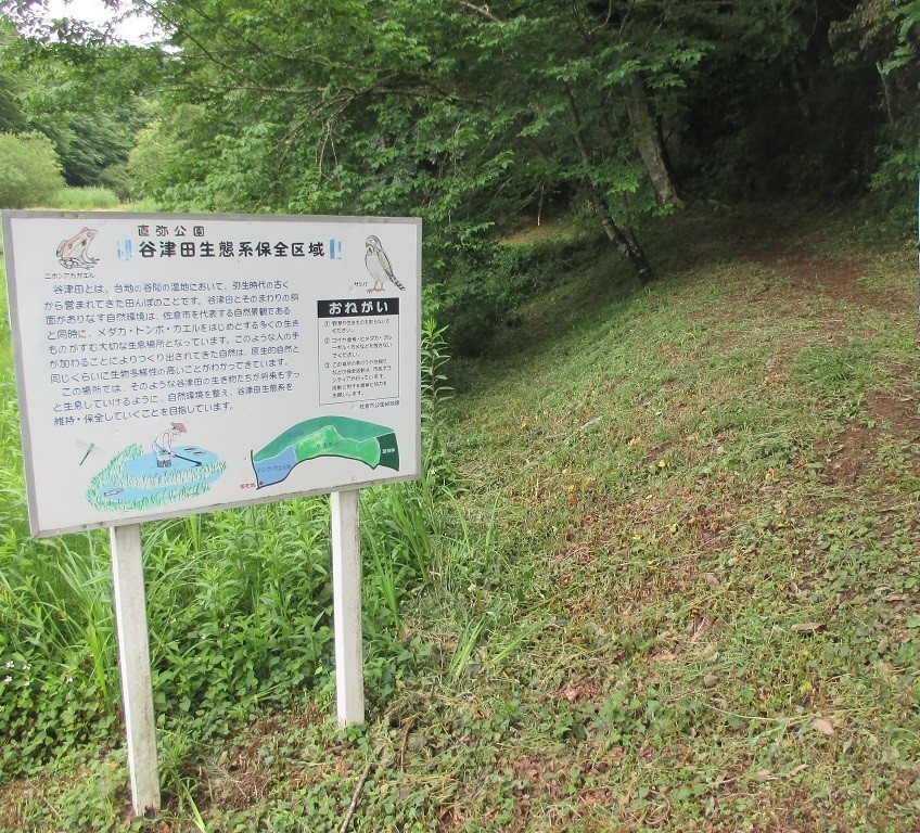 左側に案内板があり木々が沢山生えている直弥公園谷津田生態系保全区域の写真