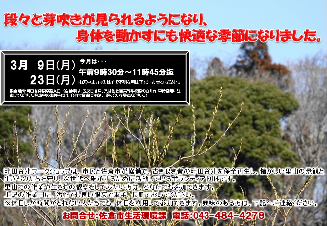 3月の芽吹きようす