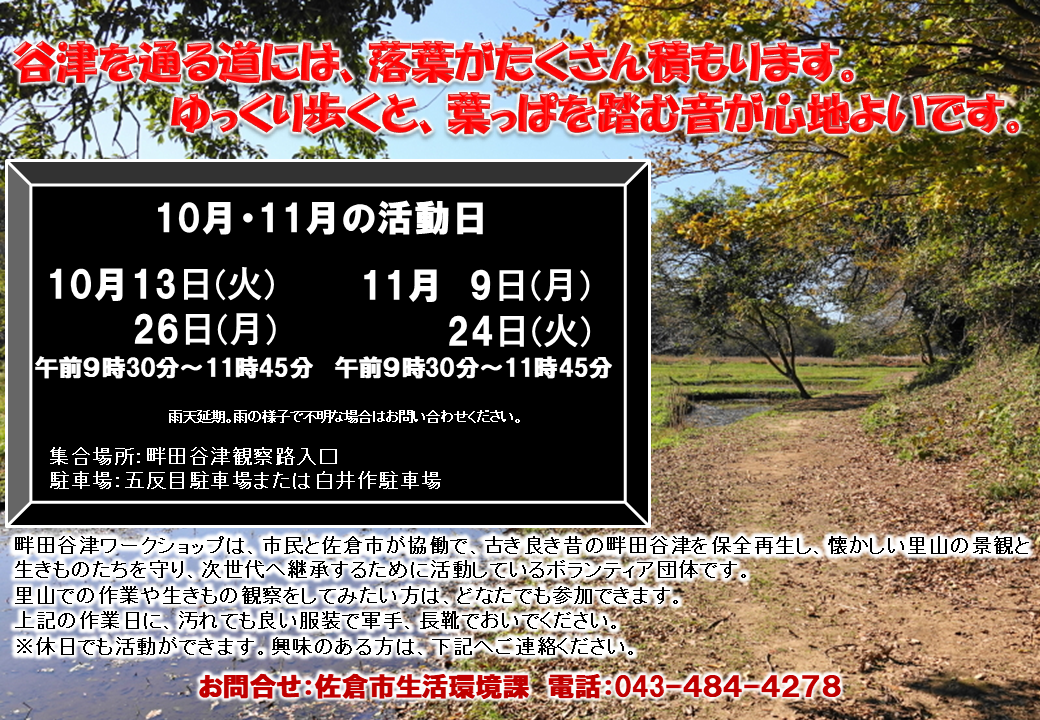 ワークショップの10月11月の活動日