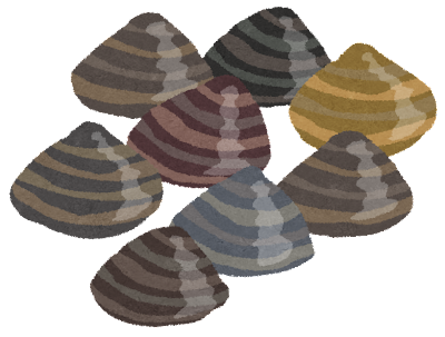 様々な模様の貝のイラスト