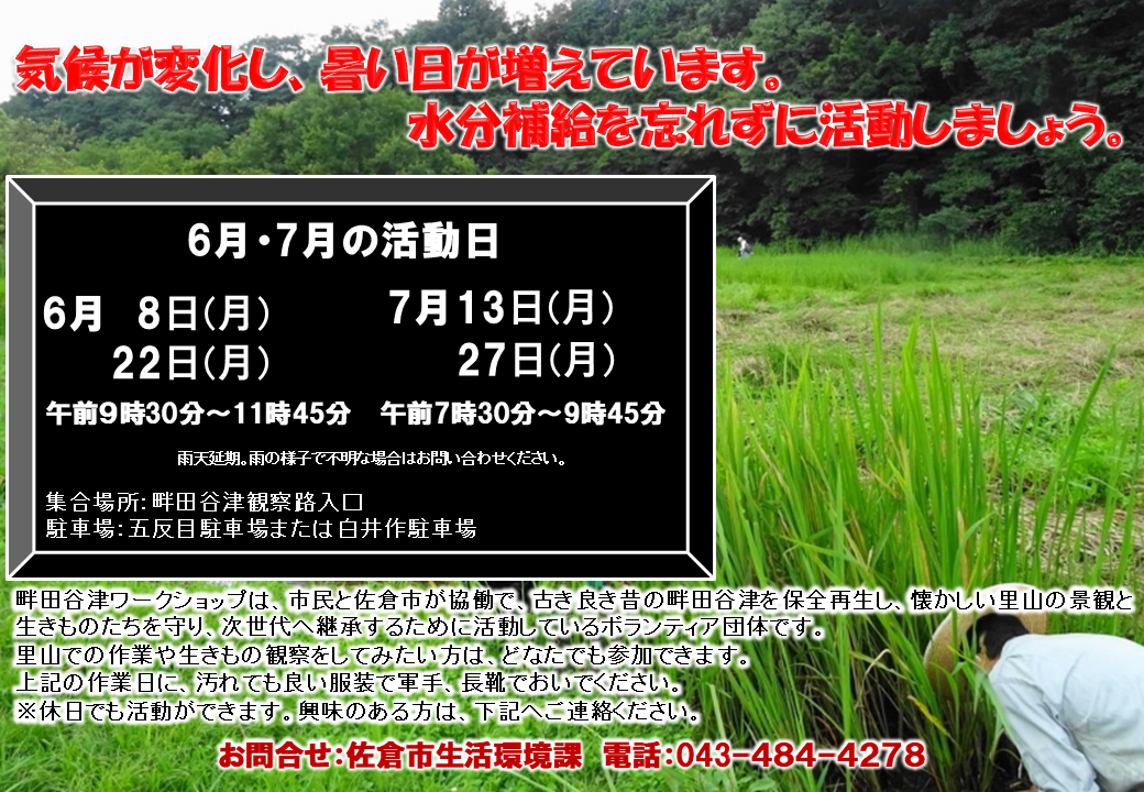 畔田谷津ワークショップの活動日(6月22日、7月13日、27日)