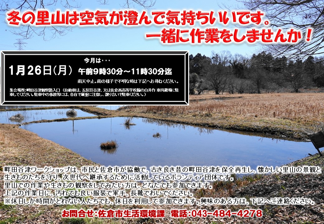 観察会のようす