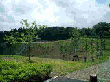 木々が植えられている直弥公園の写真
